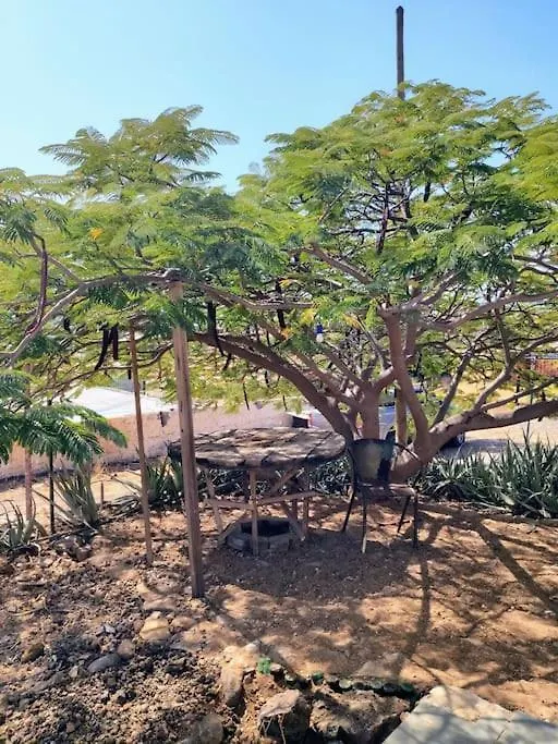 Holiday home Casa Aloe Vera - Private House W/ Free Breakfast Cidade Velha Cape Verde